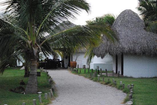 Cardon Adventure Resort Mazatlan Bagian luar foto